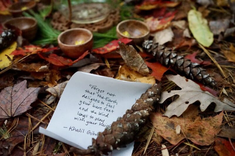 Forest Bathing & Nature Therapy Mini-Retreat - FAQ