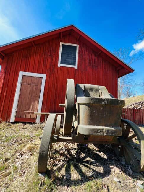 Forest, Castle & Fiskars Village Day Trip from Helsinki - Key Points