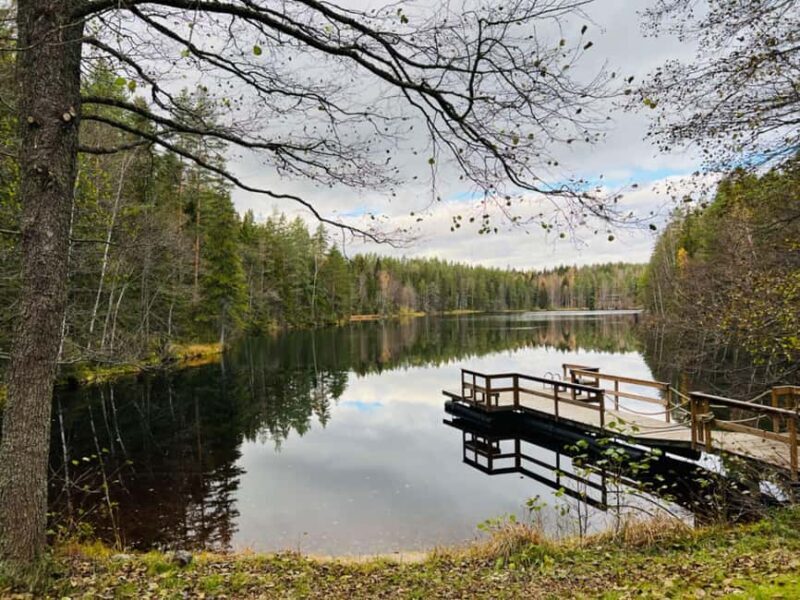 Forest, Castle & Fiskars Village Day Trip from Helsinki - In Summary