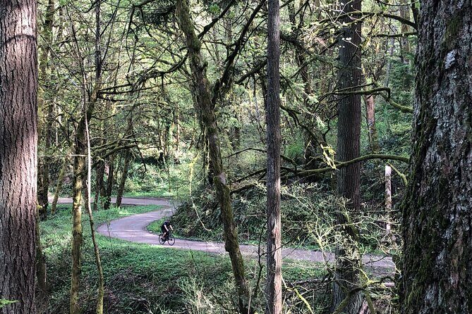 Forest Park Carbon Gravel Bike and E-Bike Tour - What to Expect on the Tour