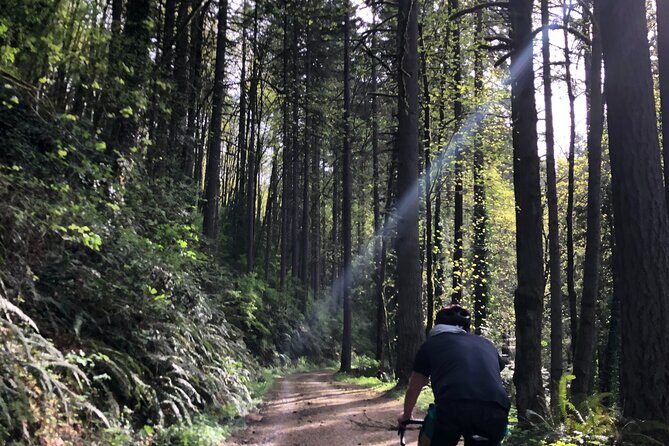 Forest Park Carbon Gravel Bike and E-Bike Tour - FAQ