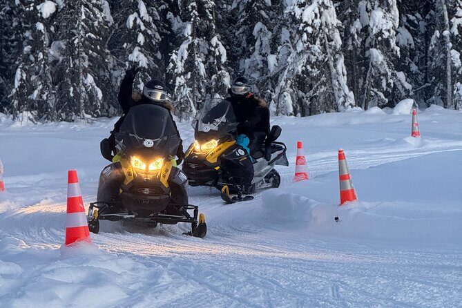 Forest Snowmobile Tour in Alaska - Who Is This Tour Best For?