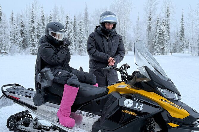 Forest Snowmobile Tour in Alaska - The Sum Up