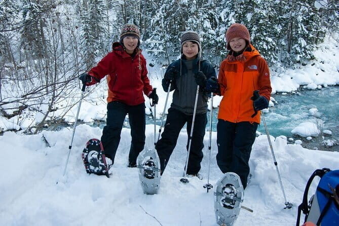 Forest Snowshoeing in White Birch and Blue River Course - Forest Snowshoeing in White Birch and Blue River Course Review