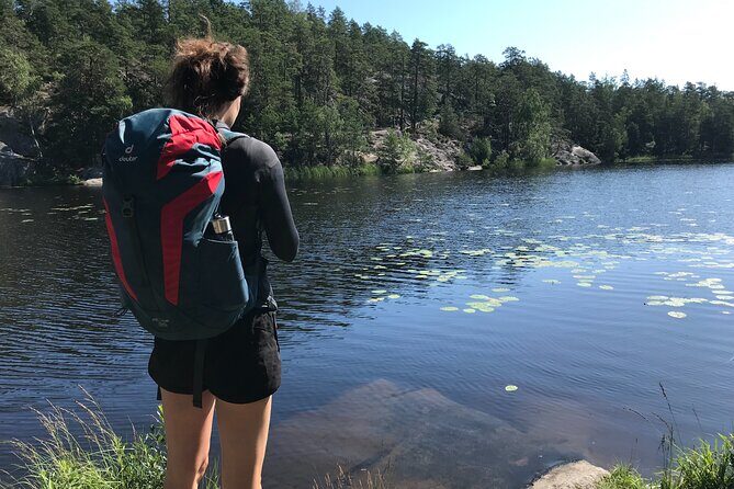 Forestbathing Slow Walking and Healing Spring Water, Stockholm - In-Depth Look at the Experience