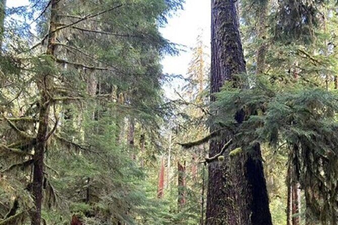 Forks Town, Twilight Movie, Olympic Small Group 1 Day Tour - FAQs