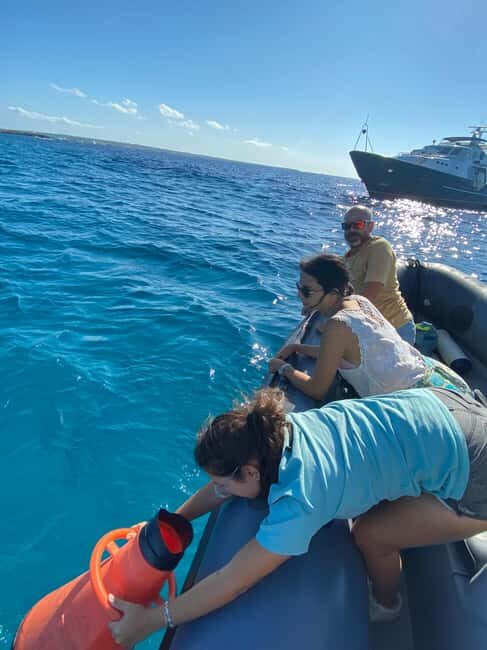 Formentera: 2-hour snorkel with marine biologist by boat - A Deep Dive into the Formentera Snorkel Tour