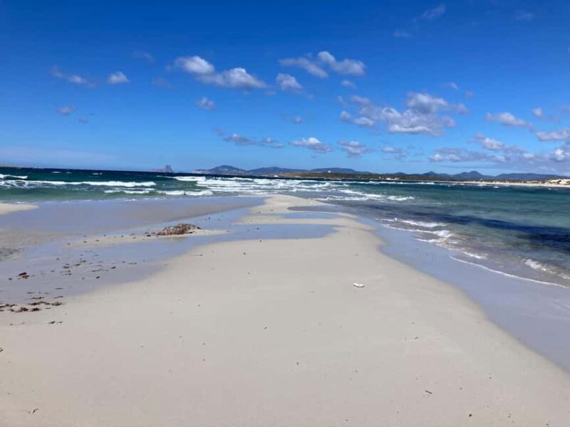 Formentera: 2-hour snorkel with marine biologist by boat - Final Thoughts: Is It Worth It?