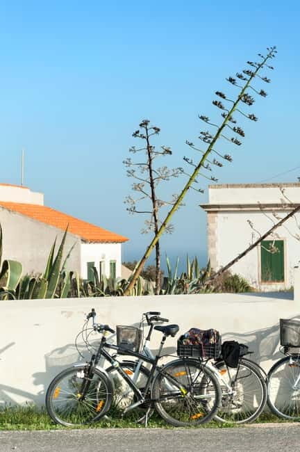 Formentera: discover our fast ferry + bike package - Key Points