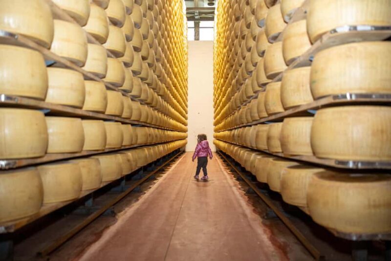 Formigine: Parmigiano tour with full tasting - A Detailed Look at the Experience