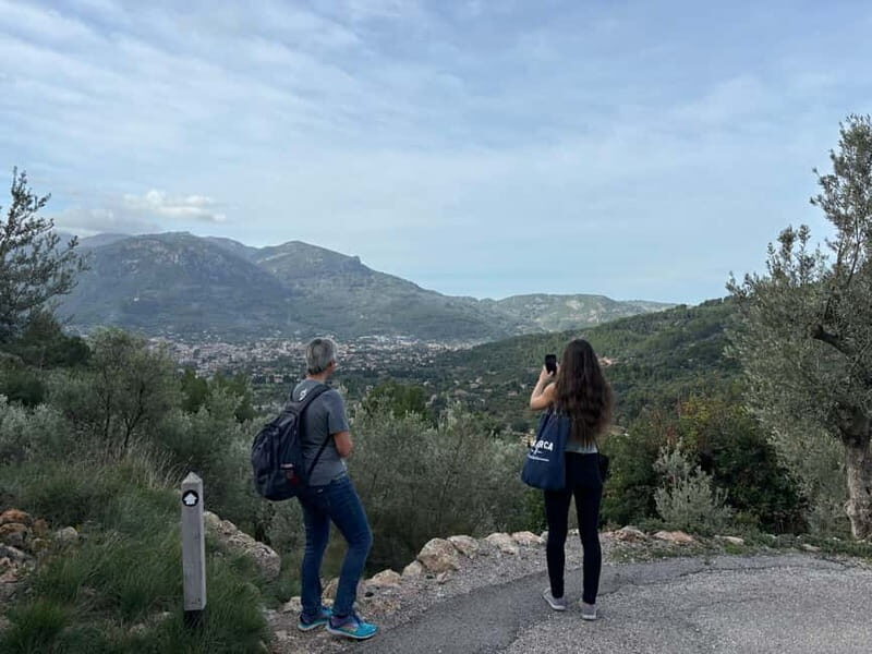 Fornalutx - hiking to the olive farm & oil tasting - Key Points