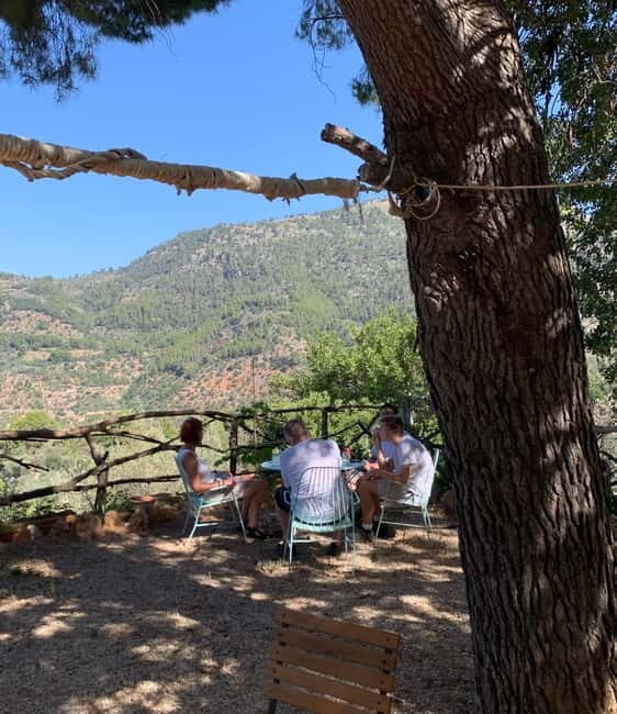 Fornalutx - hiking to the olive farm & oil tasting - Olive Oil Tasting & Local Tapas