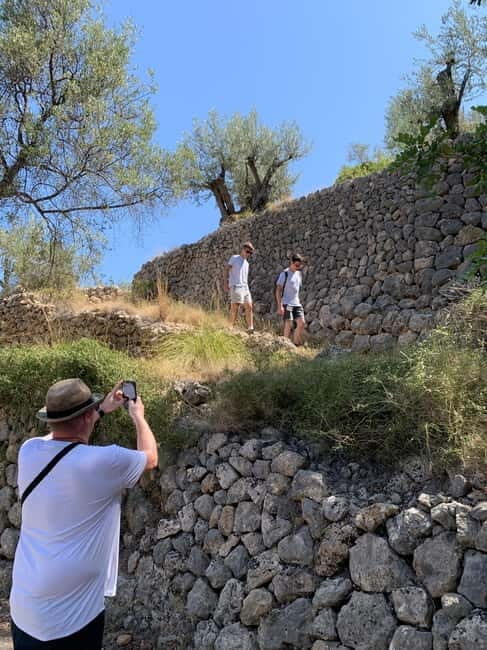 Fornalutx - hiking to the olive farm & oil tasting - Practical Details & Comfort