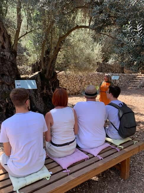 Fornalutx - hiking to the olive farm & oil tasting - FAQ