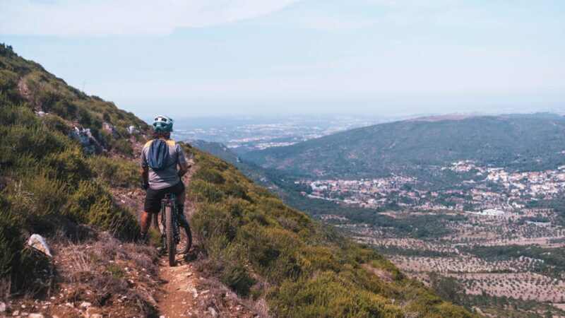 Fórnea E-bike and Olive Oil tour - The Sum Up