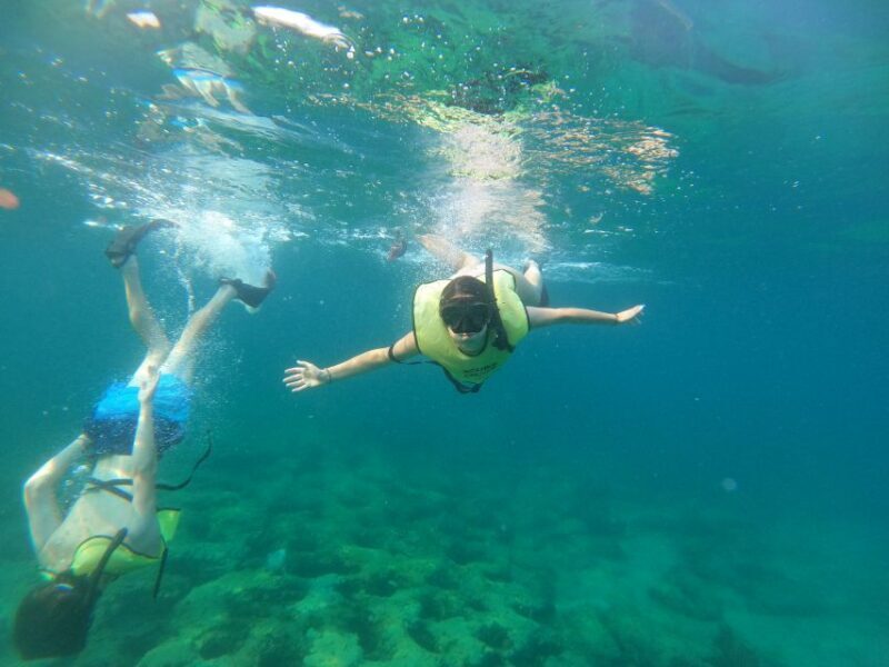 Fort Lauderdale: Guided Snorkeling Reef Tour and Lesson - Starting Point and Logistics