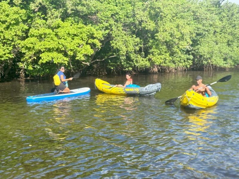 Fort Lauderdale: Kayak & Paddleboard Mangroves Eco Adventure - Authentic Encounters and What You’ll Learn