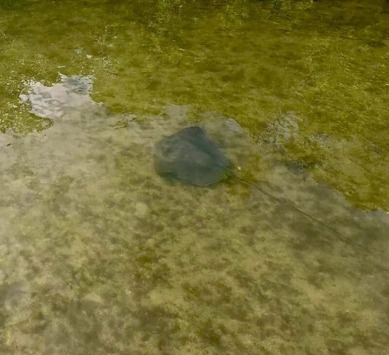 Fort Lauderdale: Kayak & Paddleboard Mangroves Eco Adventure - Practical Details & Value