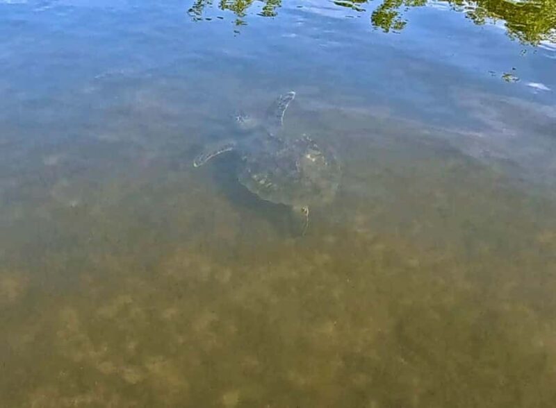 Fort Lauderdale: Kayak & Paddleboard Mangroves Eco Adventure - Who Should Book This Tour?