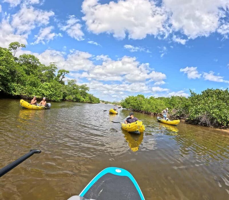 Fort Lauderdale: Kayak & Paddleboard Mangroves Eco Adventure - The Sum Up