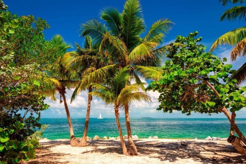 Fort Lauderdale: Key West Day Trip with Optional Activities - Key Points