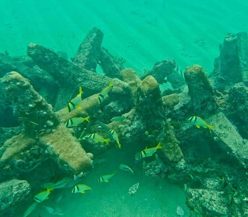 Fort Lauderdale: Ocean Reef Snorkel Tour w/ Snacks & Drinks - Key Points