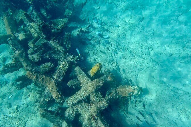 Fort Lauderdale: Ocean Reef Snorkeling Tour w/ Snacks & Drinks - Introducing the Ocean Reef Snorkeling Tour in Fort Lauderdale