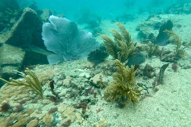 Fort Lauderdale: Ocean Reef Snorkeling Tour w/ Snacks & Drinks - Post-Snorkeling Relaxation and Sharing Memories