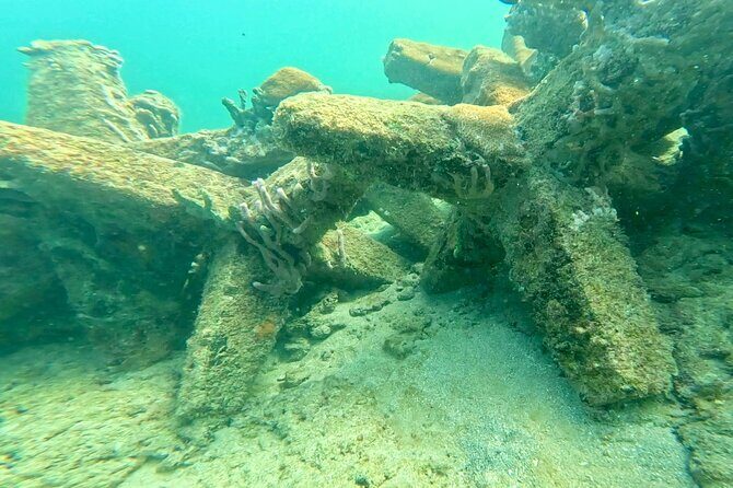 Fort Lauderdale: Ocean Reef Snorkeling Tour w/ Snacks & Drinks - The Sum Up: Worth It for a Short, Authentic Underwater Experience