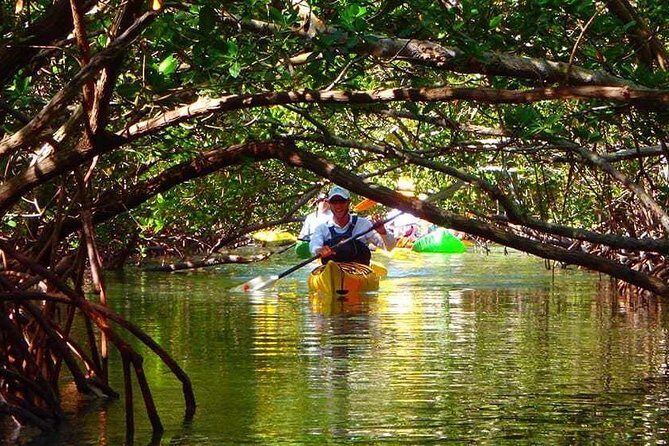 Fort Lauderdales Tropical Kayak Tour and Island Adventure - Key Points