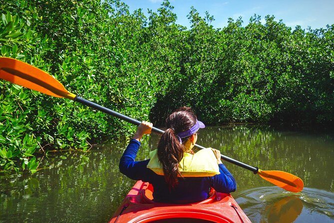 Fort Lauderdales Tropical Kayak Tour and Island Adventure - Pricing and Value Analysis