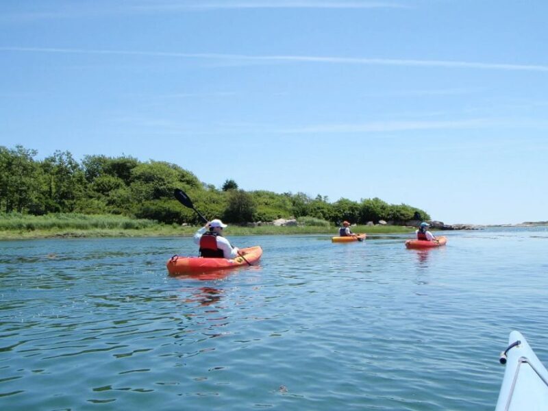 Fort Myers: Guided Kayak or SUP Tour in Pelican Bay - An In-Depth Look at the Fort Myers Guided Kayak or SUP Tour