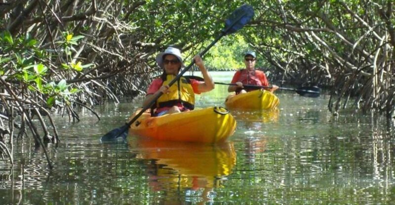 Fort Myers: Guided Kayak or SUP Tour in Pelican Bay - Final Thoughts: Is It Worth It?