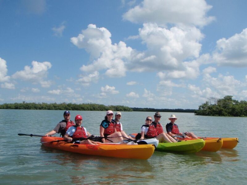 Fort Myers: Guided Kayaking Eco Tour in Pelican Bay - Who Is This Tour Best For?