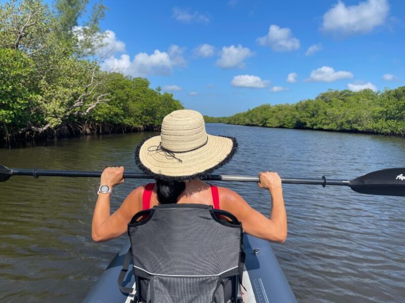 Fort Pierce: 4-hr Mangroves & Dolphin Watch Sandbar in FL - An In-Depth Look at the Experience