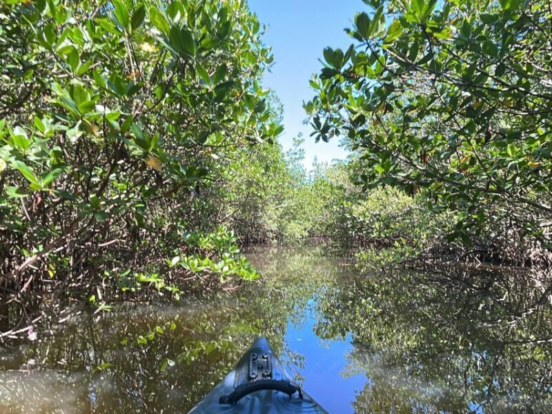 Fort Pierce: 4-hr Mangroves & Dolphin Watch Sandbar in FL - FAQs