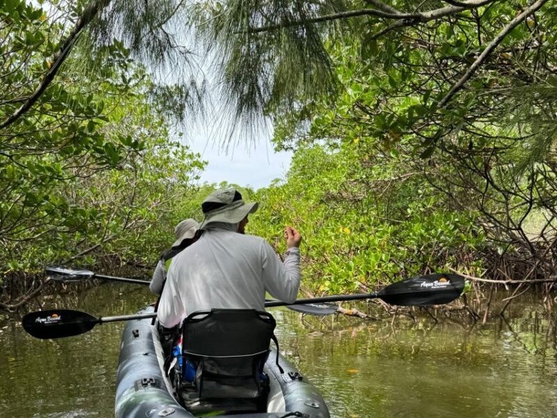 Fort Pierce: 6-hr Mangroves, Coastal Rivers & Wildlife in FL - The Journey: What to Expect on the Tour