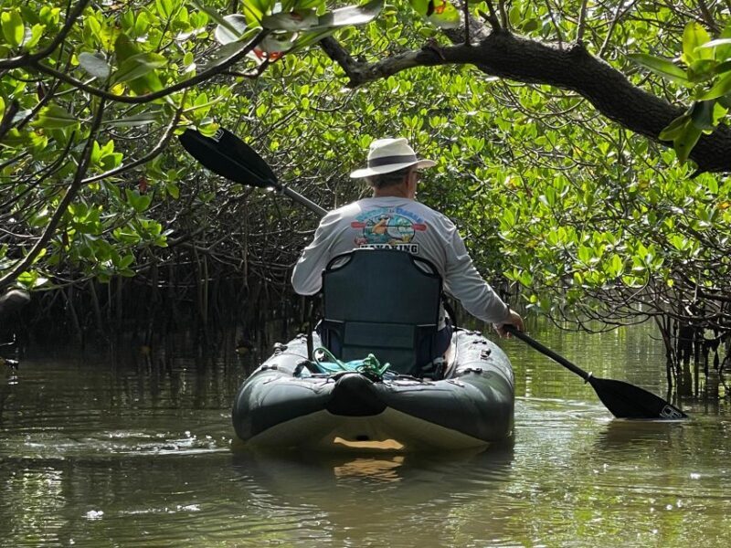 Fort Pierce: 6-hr Mangroves, Coastal Rivers & Wildlife in FL - Why This Tour Works Well