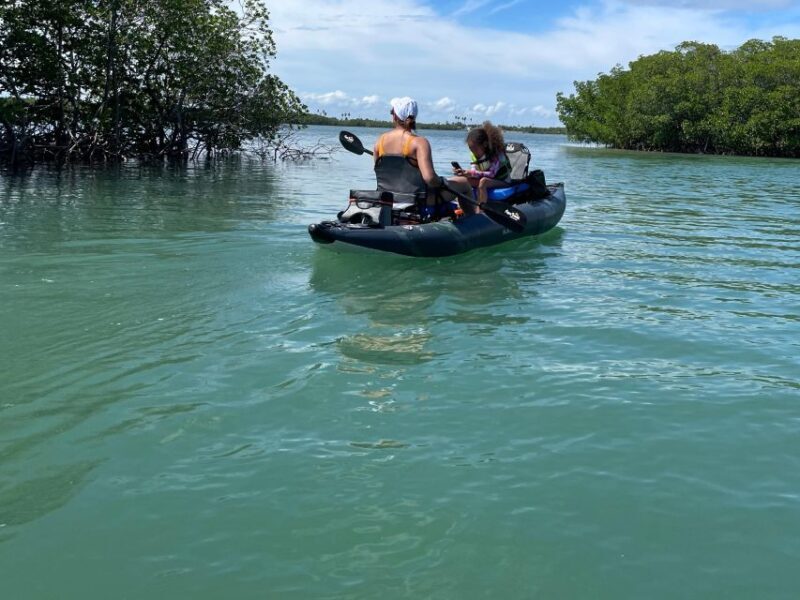 Fort Pierce: 6-hr Mangroves, Coastal Rivers & Wildlife in FL - FAQ