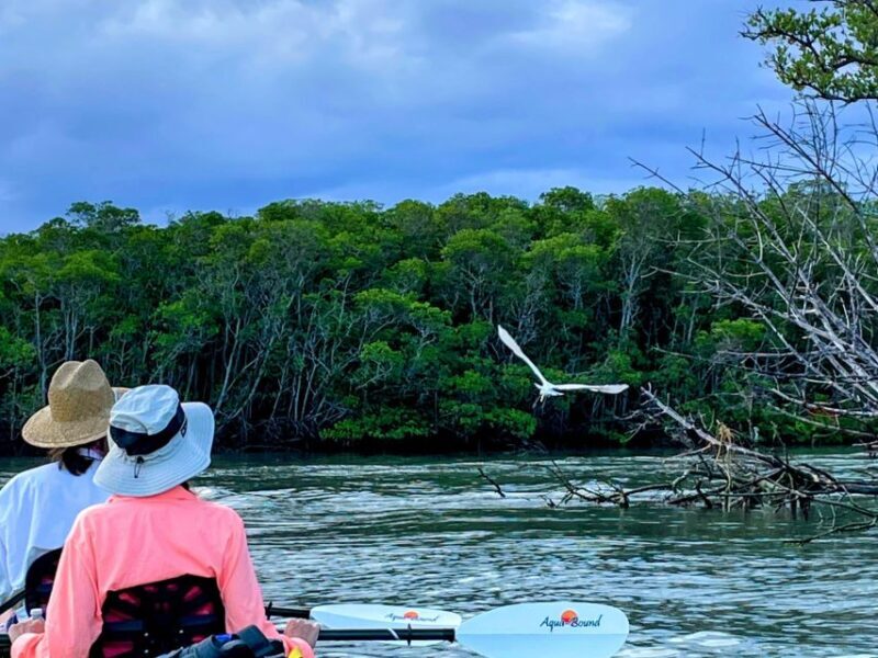 Fort Pierce: 8-hr Jungle and Lagoon passage to Ocean in FL - Key Points