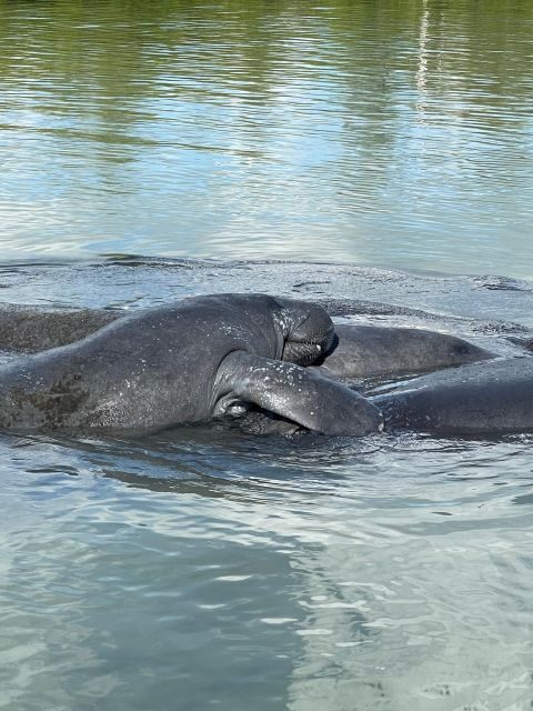 Fort Pierce: 8-hr Jungle and Lagoon passage to Ocean in FL - The Itinerary: What You Can Expect
