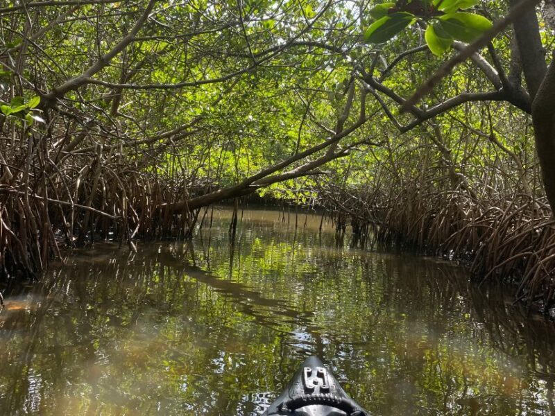 Fort Pierce: 8-hr Jungle and Lagoon passage to Ocean in FL - Who Will Love This Tour?