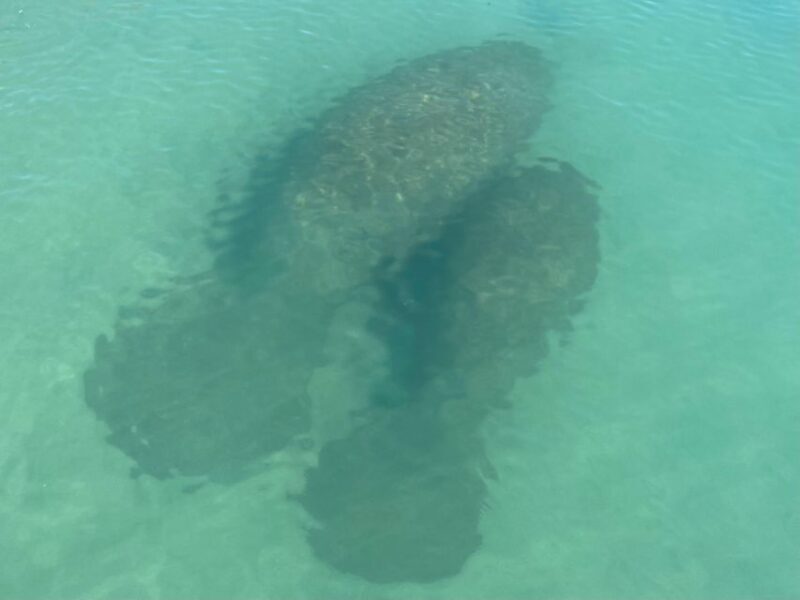 Fort Pierce: 8-hr Jungle and Lagoon passage to Ocean in FL - FAQs
