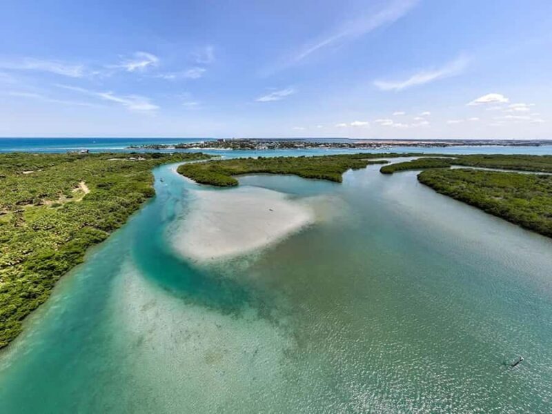 Fort Pierce: Clear Kayak Tour with Wildlife Sightings - Key Points