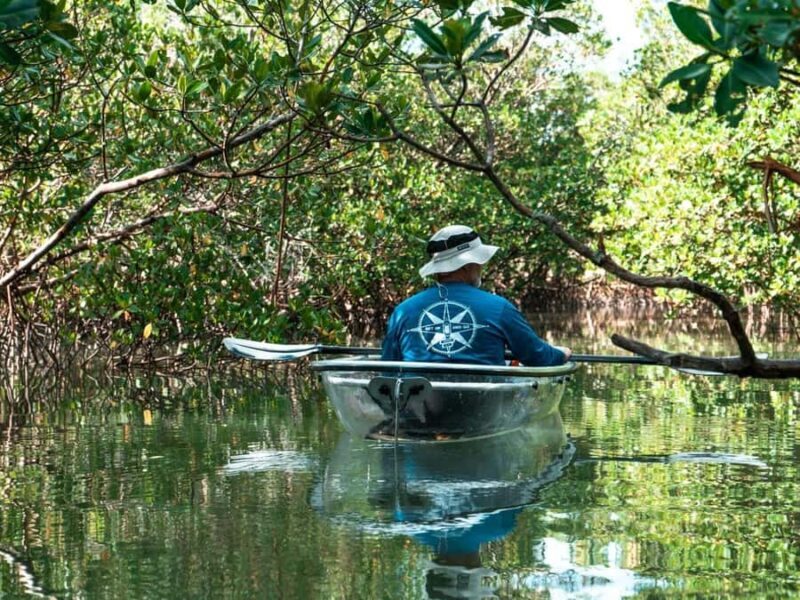 Fort Pierce: Clear Kayak Tour with Wildlife Sightings - An In-Depth Look at the Fort Pierce Clear Kayak Experience