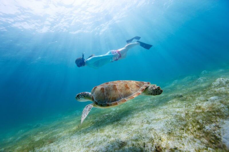 Fort Walton Beach: Morning Dolphin Cruise with Snorkel Stop - Key Points