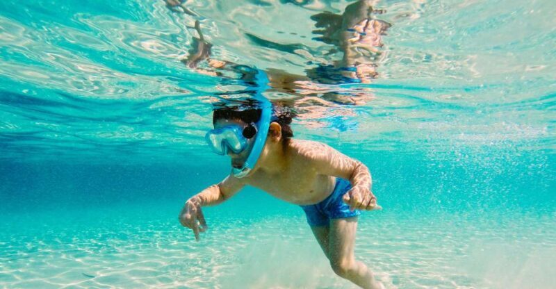 Fort Walton Beach: Morning Dolphin Cruise with Snorkel Stop - A Detailed Look at the Fort Walton Beach Dolphin & Snorkel Tour