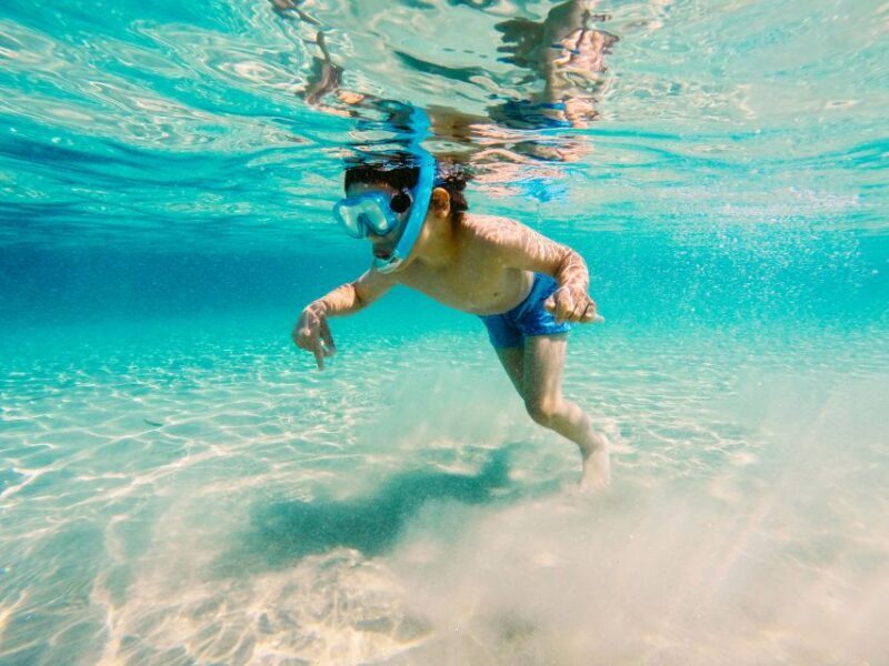 Fort Walton Beach: Morning Dolphin Cruise with Snorkel Stop - Who Should Consider This Tour?