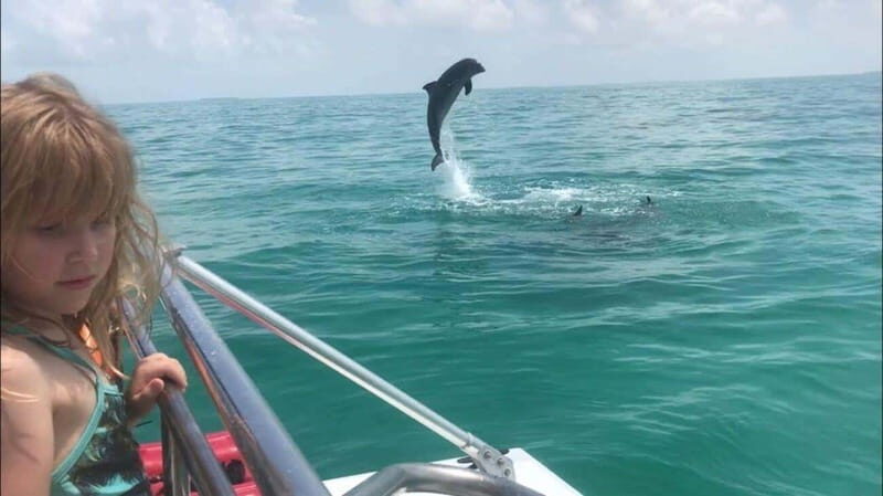Fort Walton: Dolphin Discovery and Snorkeling Cruise - The Sum Up