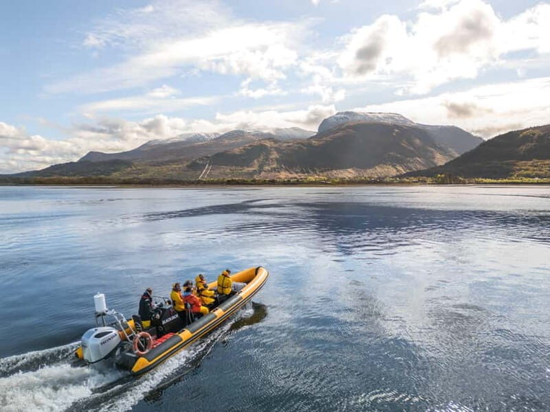 Fort William: 1hr Loch Safari Speedboat Tour - An In-Depth Look at the Loch Safari Experience